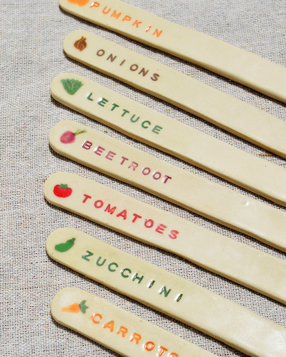 Veggie Seed Markers