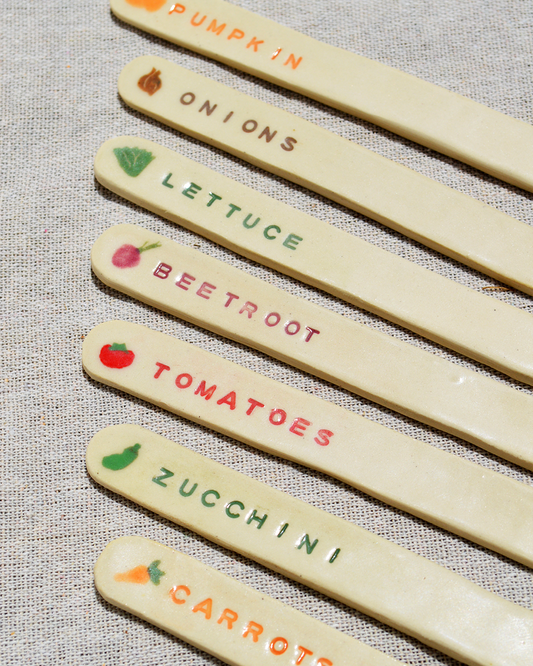 Veggie Seed Markers