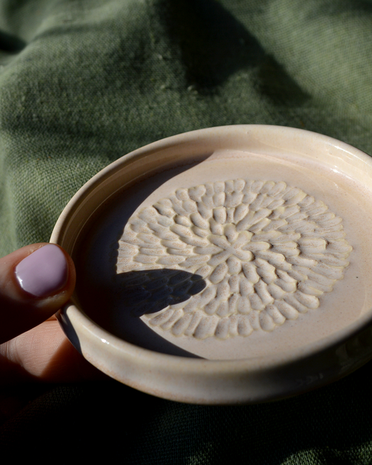 Blush Garlic Grater