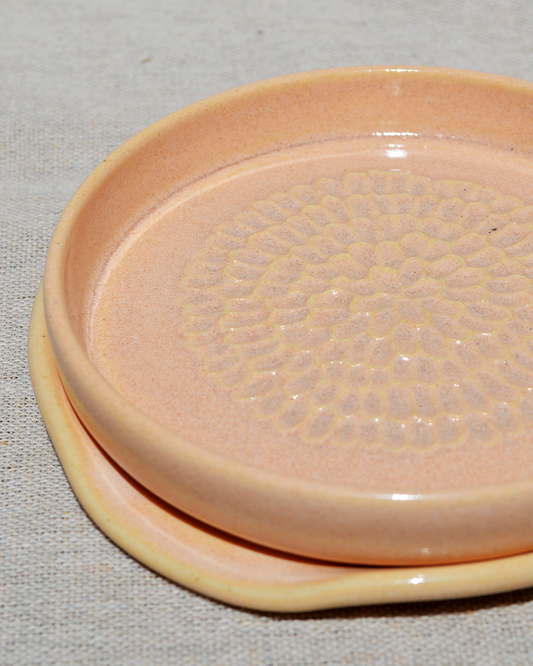 Pink Garlic Grater + Spoon Rest Set