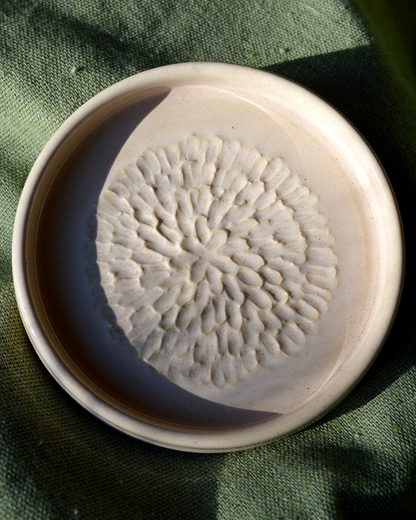 Blush Garlic Grater