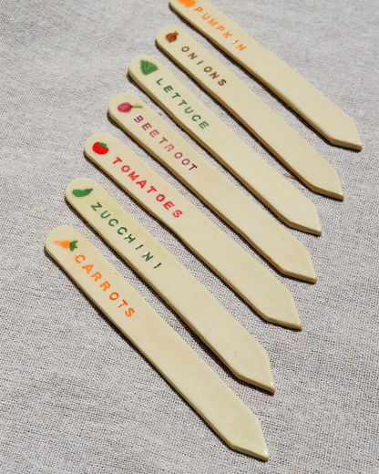 Veggie Seed Markers