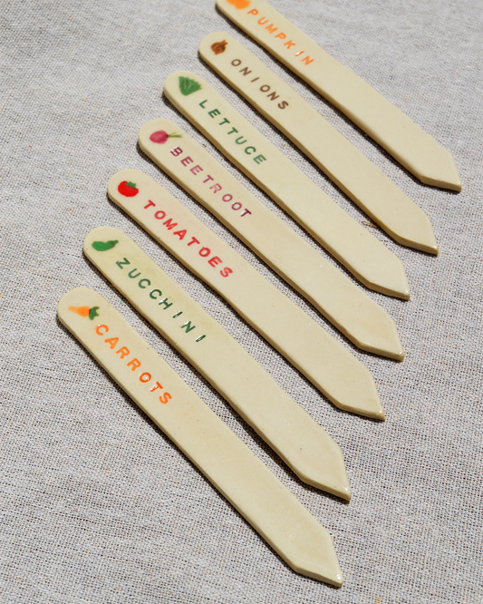 Veggie Seed Markers